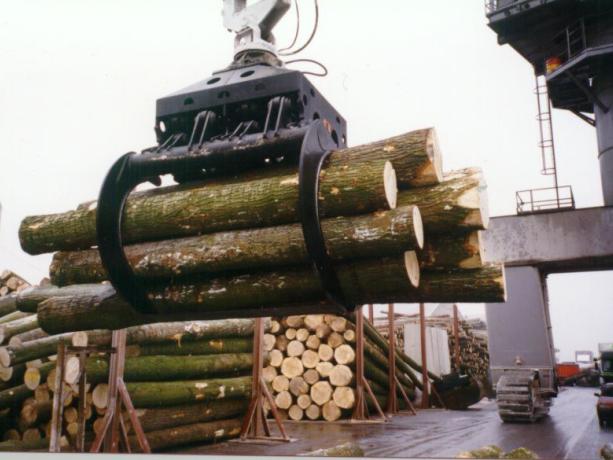 Bomengrijper met boomstammen vastgeklemd